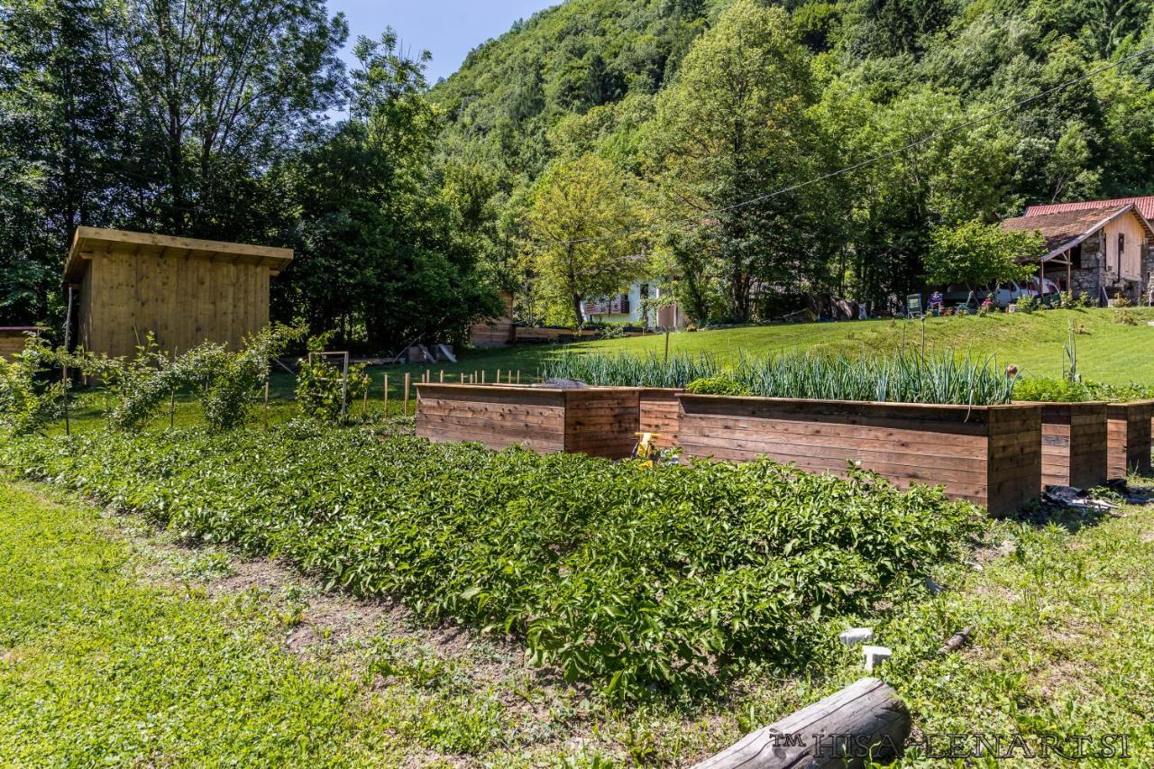 Hisa Lenart Daire Tolmin Dış mekan fotoğraf