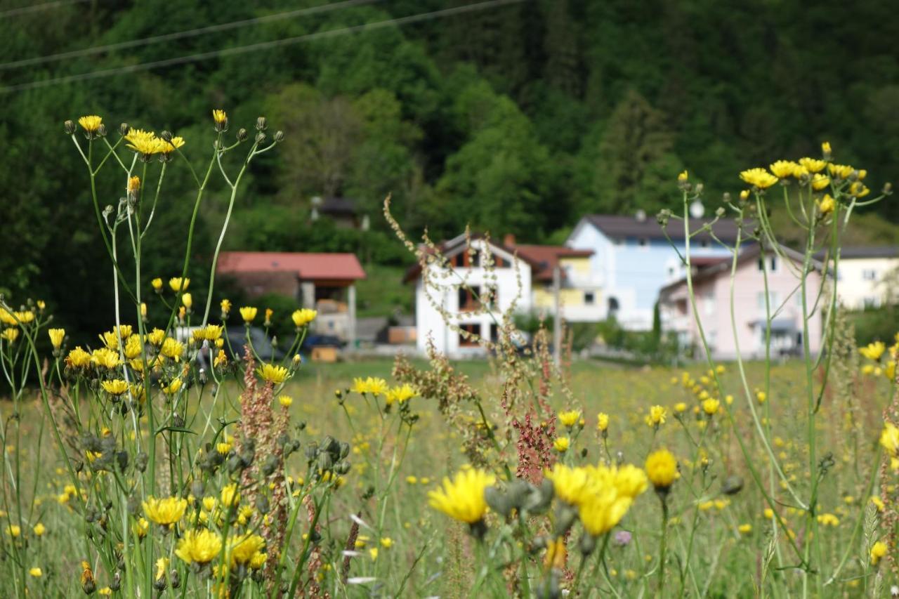 Hisa Lenart Daire Tolmin Dış mekan fotoğraf